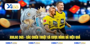 Xoilac 365 - Các Chiến Thuật Cá Cược Bóng Đá Hiệu Quả
